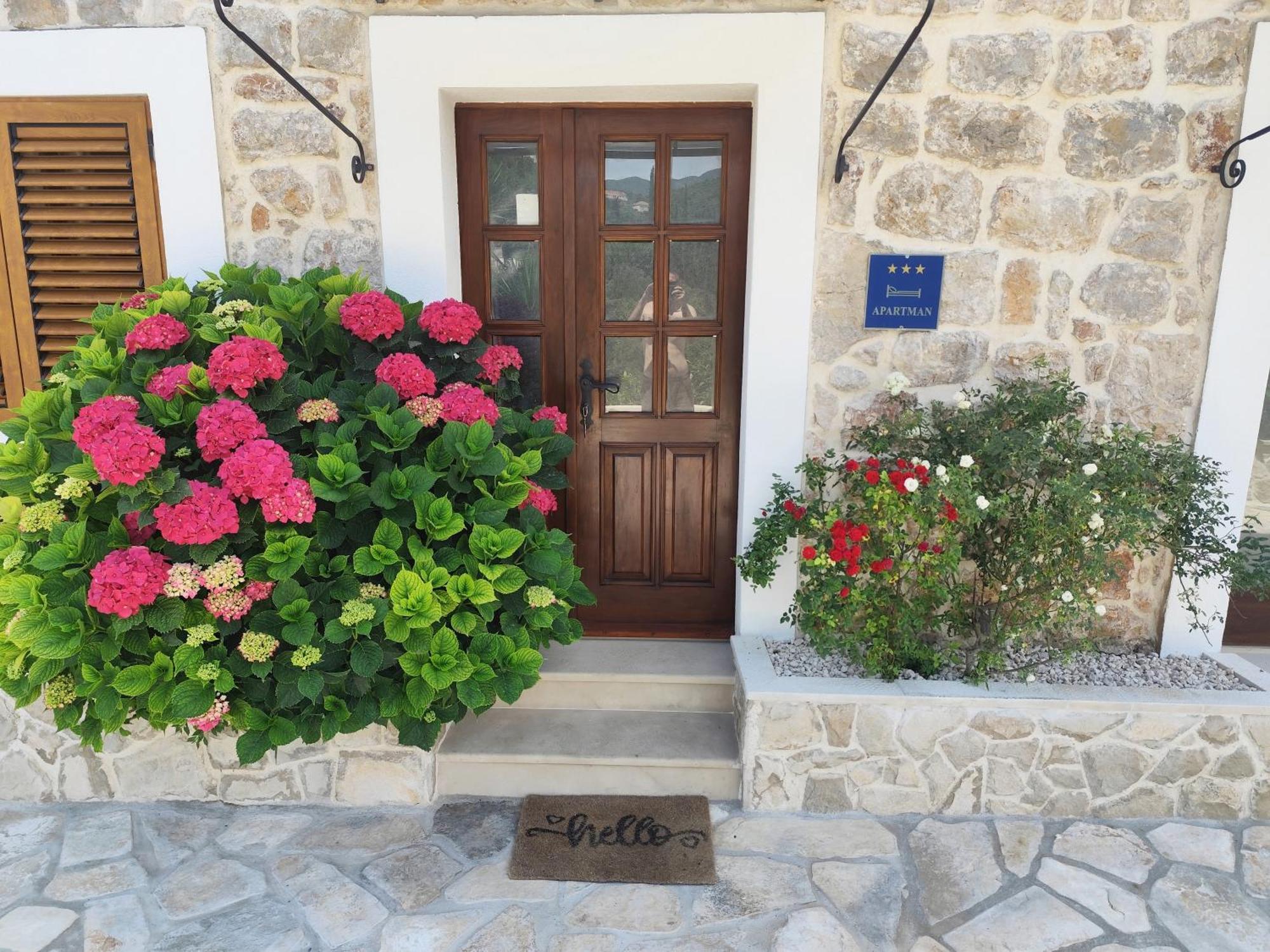 Apartment Mistral - Cosy Apartment With Sea View Molunat Exterior photo