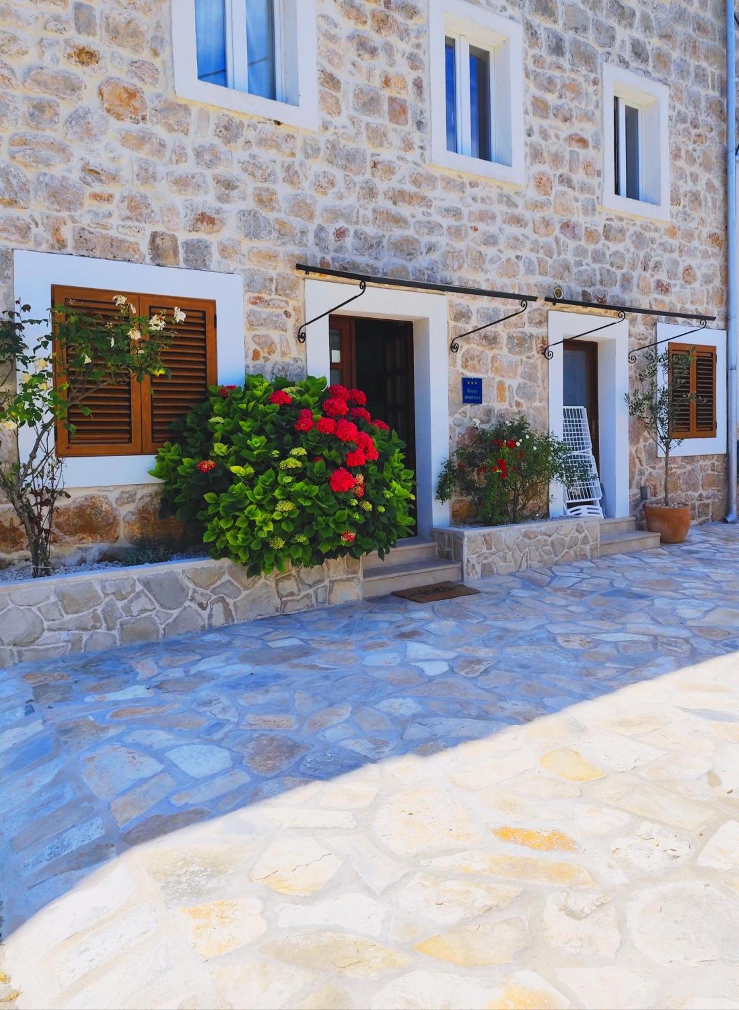 Apartment Mistral - Cosy Apartment With Sea View Molunat Exterior photo